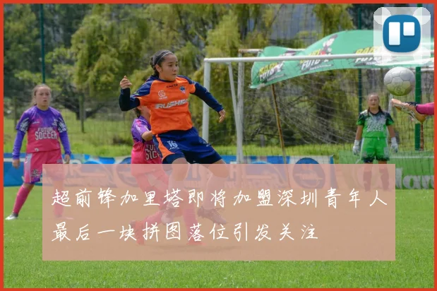 超前锋加里塔即将加盟深圳青年人最后一块拼图落位引发关注