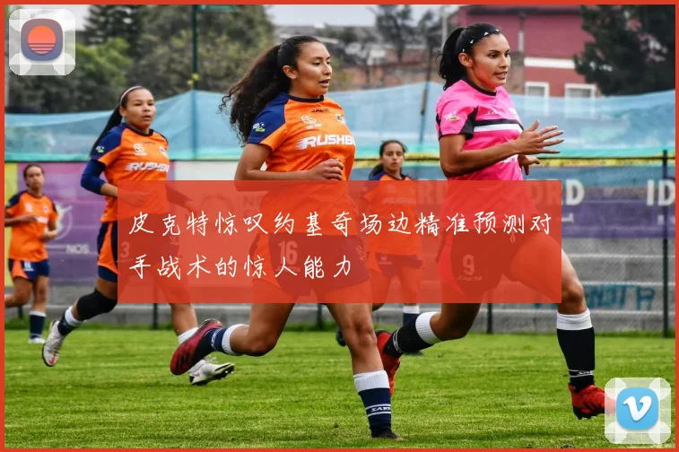 皮克特惊叹约基奇场边精准预测对手战术的惊人能力