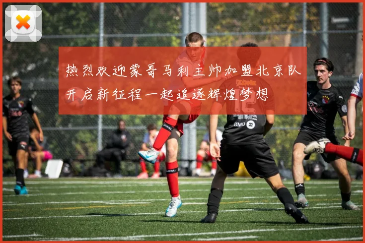 热烈欢迎蒙哥马利主帅加盟北京队开启新征程一起追逐辉煌梦想